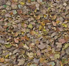 Ковролин ForboFlotex Vision Image 000509 Autumn Leaves Green фото 1 | FLOORDEALER